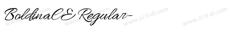 BoldinaCE Regular字体转换